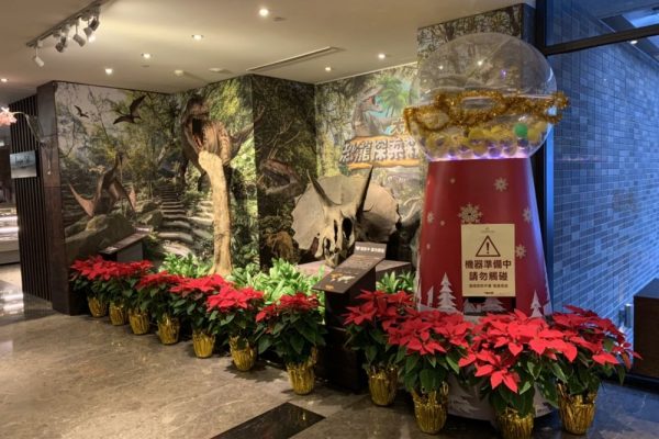 大板根森林溫泉酒店 水晶塔扭蛋機 大型扭蛋機 造型扭蛋機 耶誕市集 耶誕城 聖誕節 陽昇國際